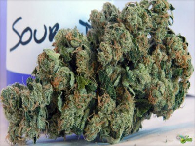 Buy Sour Diesel Marijuana Strain Online