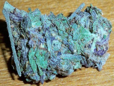 Buy Blue Dream Marijuana Strain Online