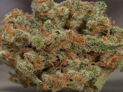 Buy Train Wreck Marijuana Strain Online