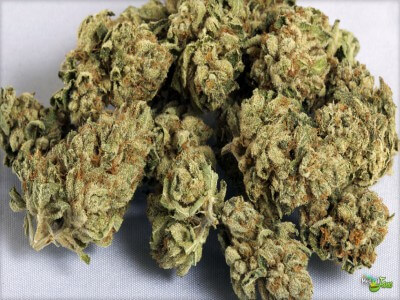 Buy OG Kush Marijuana Strain Online