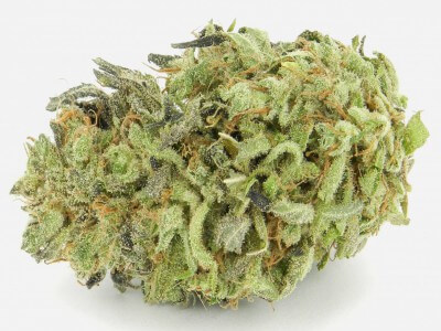 Buy Durban Poison Marijuana Strain