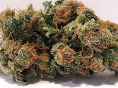 Buy Afghan Diesel Marijuana Online