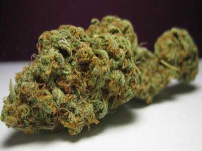 Buy Silver Haze Strain Online