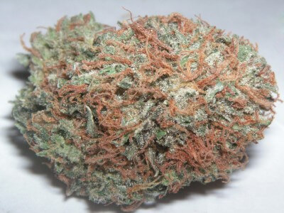 Buy Bubba Kush Online