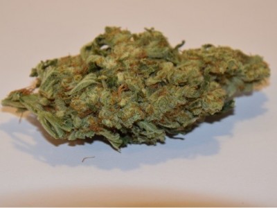 Buy Skywalker OG marijuana strain